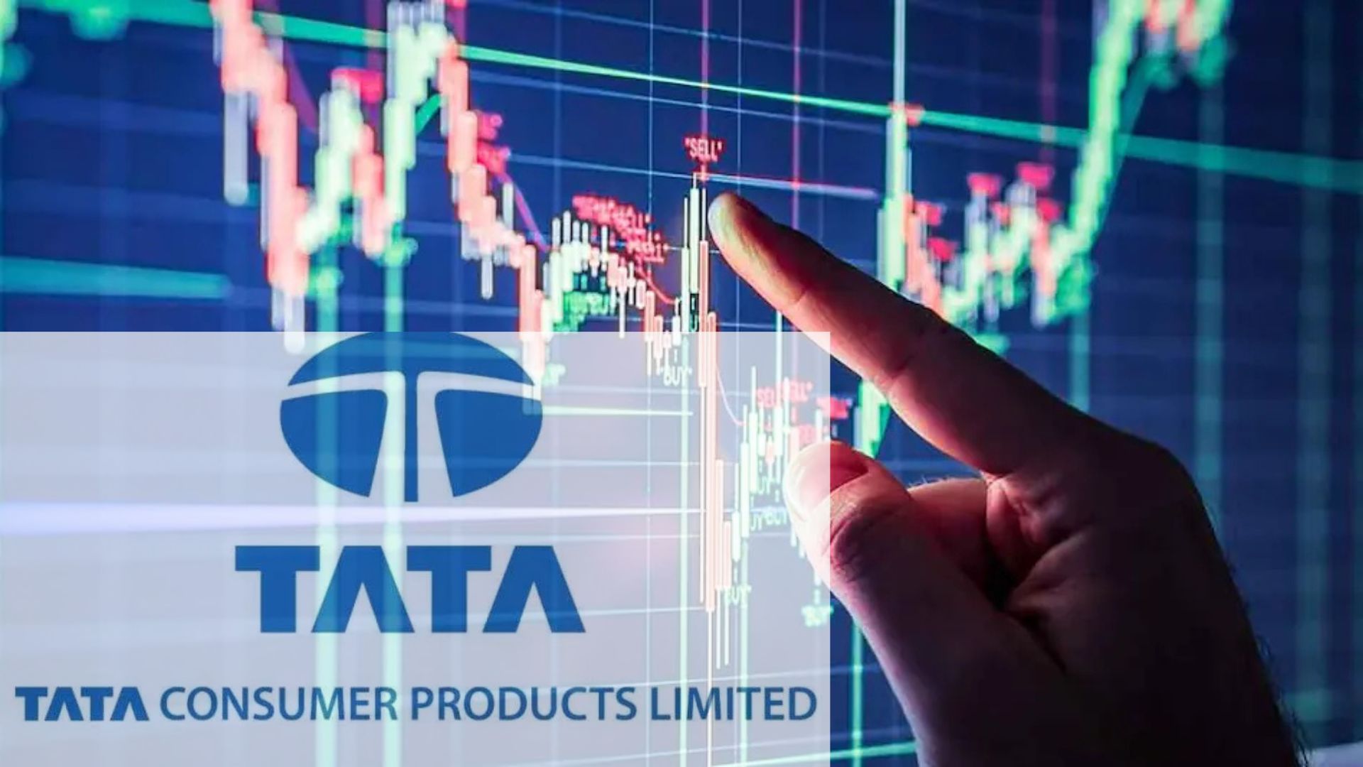 Tata Consumer Products shares fell